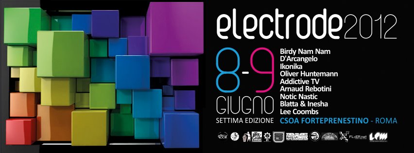 Electrode 2012